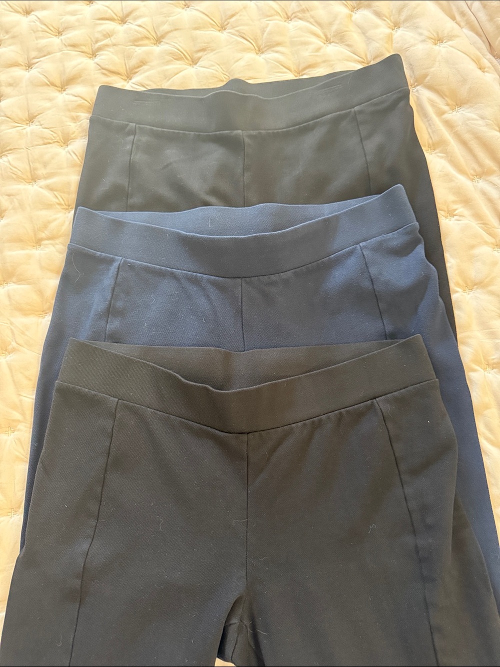 CAbi Classic Stretch Leggings Trio in Black and Navy